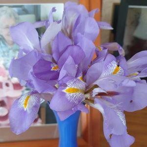 Meet your Posher, Marie